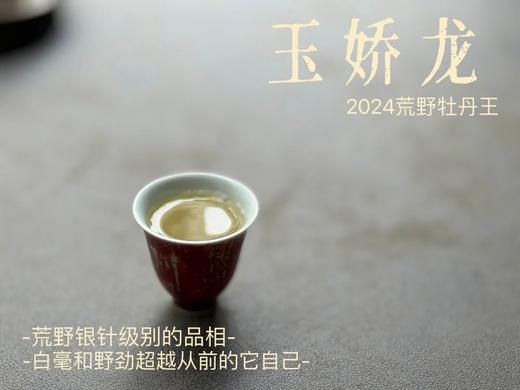 【2024春茶来了】2024荒野牡丹王如浆似汤，比往年更野、白毫更多、香气更馥郁，天生的有机茶！ 商品图13