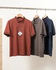 夏季新款桑蚕丝男士针织商务POLO衫 商品缩略图0