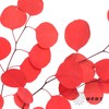 永生花材 | 苹果叶红色 商品缩略图3