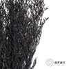 永生花材 | 情人草黑 商品缩略图0