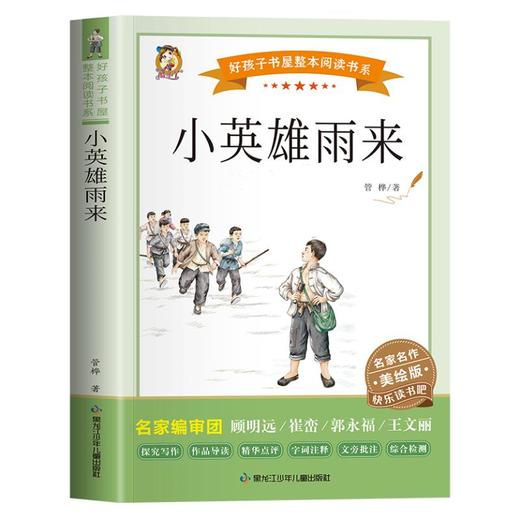 小英雄雨来 商品图0