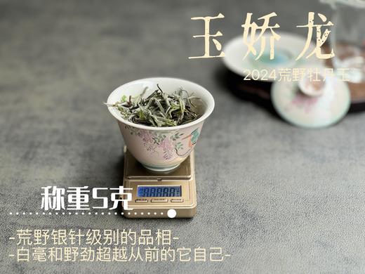 【2024春茶来了】2024荒野牡丹王如浆似汤，比往年更野、白毫更多、香气更馥郁，天生的有机茶！ 商品图5