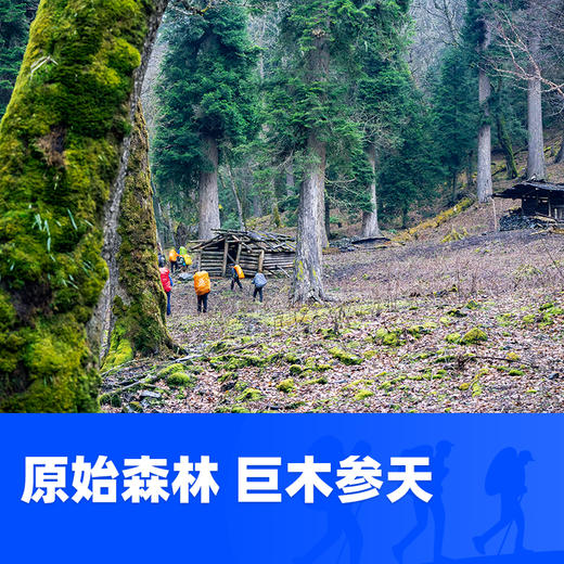 梅里南坡 雪山冰川盛宴 梅里最后的秘境 6日 商品图5