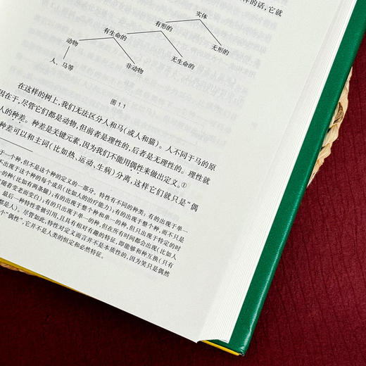 从树到迷宫 关于符号和阐释的历史研究 艾柯论文集 符号学研究 商品图9