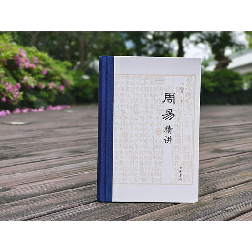 周易精讲（精）(王振复 著) 商品图3