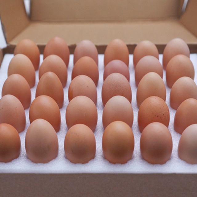 龙游飞鸡蛋30枚