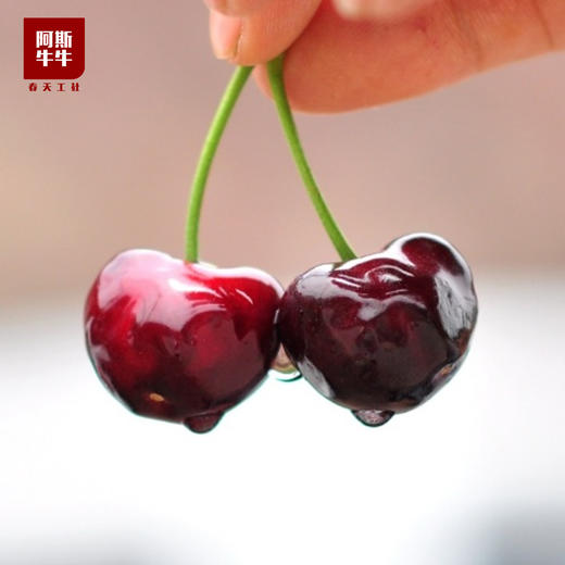 【水果界YYDS】精品黑珍珠 · 车厘子礼盒，咬上一口甜上心头！（川渝发） 商品图0