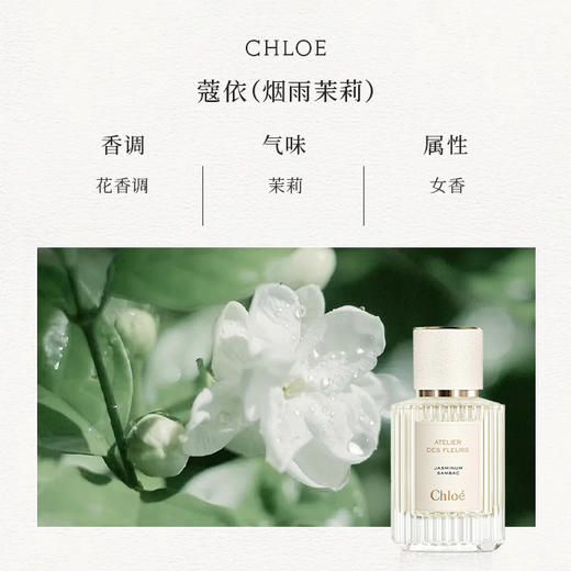 仙气飘飘！Chole蔻依仙境花园系列北国雪松/木兰诗语/烟雨茉莉女士香水50ml/150ml清新女士香氛 送香水礼品袋【CDF】 商品图5
