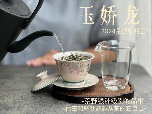 【2024春茶来了】2024荒野牡丹王如浆似汤，比往年更野、白毫更多、香气更馥郁，天生的有机茶！ 商品图7