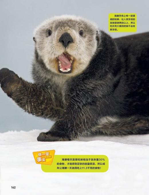 “美国国家地理科普大百科”系列（共4册）：《神秘的太空》《不可思议的动物与仿生》《奇妙的海洋》《酷酷的爬行动物》 商品图13