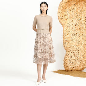 戴布拉芬连衣裙L27B339