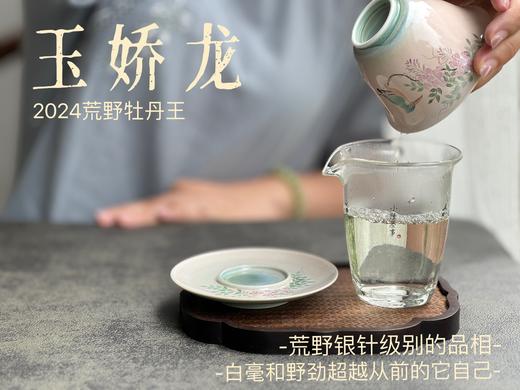 【2024春茶来了】2024荒野牡丹王如浆似汤，比往年更野、白毫更多、香气更馥郁，天生的有机茶！ 商品图9