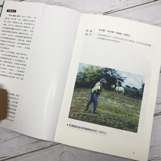 名师导读，世界文学名著：瓦尔登湖 商品图7