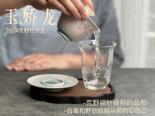 【2024春茶来了】2024荒野牡丹王如浆似汤，比往年更野、白毫更多、香气更馥郁，天生的有机茶！ 商品图10