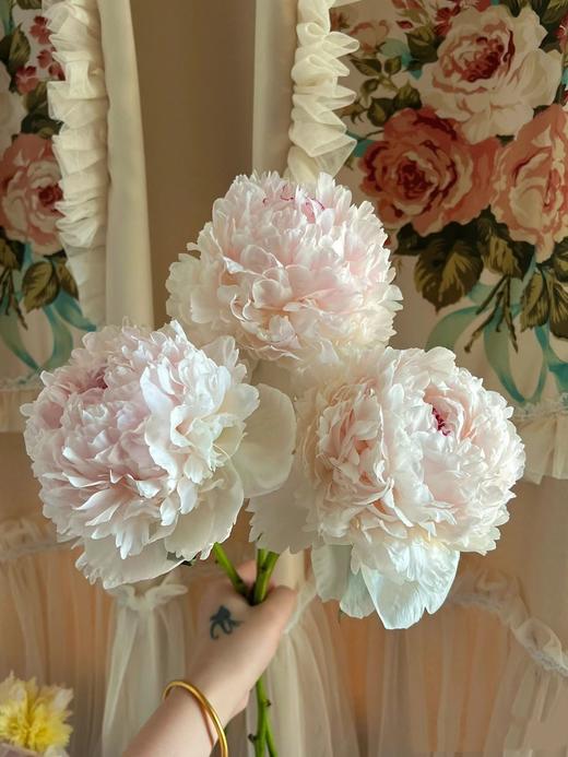 冰岛雪糕芍药花5支 商品图1