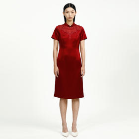 戴布拉芬连衣裙L27B539