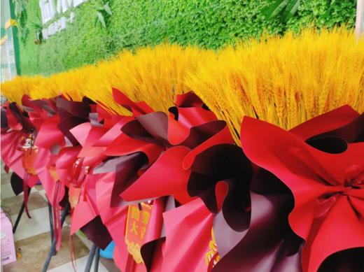 开业大麦一对 商品图5