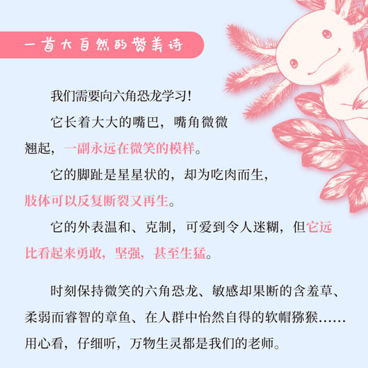【贝页】六角恐龙的微笑 一首大自然的赞美诗，一部爱与归属的回忆录(艾梅·内茨库玛塔尔（Aimee Nezhukumatathil）) 商品图3