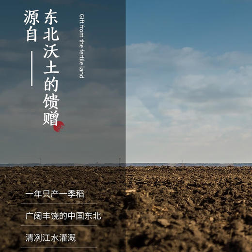 农夫山泉东北香米5斤装晶莹剔透淡淡米香米饭煮粥家庭食用 商品图4