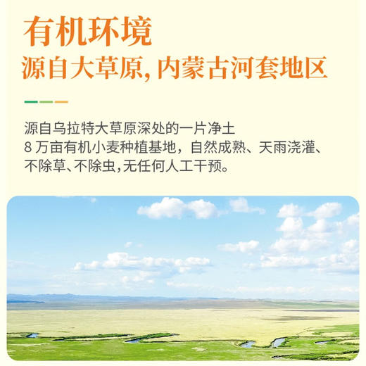 麦唯力 有机雪花面粉 2.5kg 内蒙古河套地区有机小麦原料 商品图3