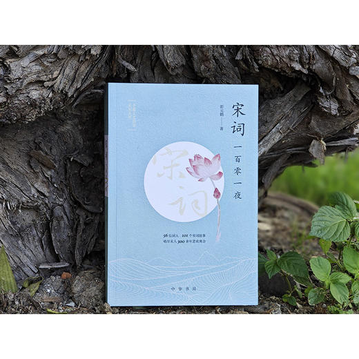宋词一百零一夜（予路人文阅读系列丛书）(彭元鹤) 商品图2