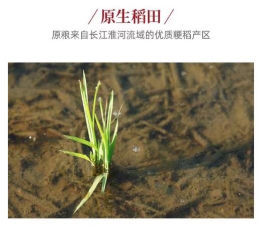 中粮| 皇家粮仓悦享·珍珠米 25kg 【BC】【ZL】 商品图2