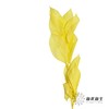 永生花材 | 桔叶黄色 商品缩略图1