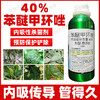 沪联世达40%苯醚甲环唑 正品正牌炭疽病农用杀菌剂杀菌药老牌子 商品缩略图3