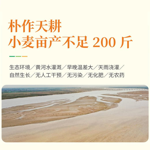 麦唯力 有机雪花面粉 2.5kg 内蒙古河套地区有机小麦原料 商品图4