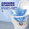 水卫士洁厕灵500g  商品缩略图5