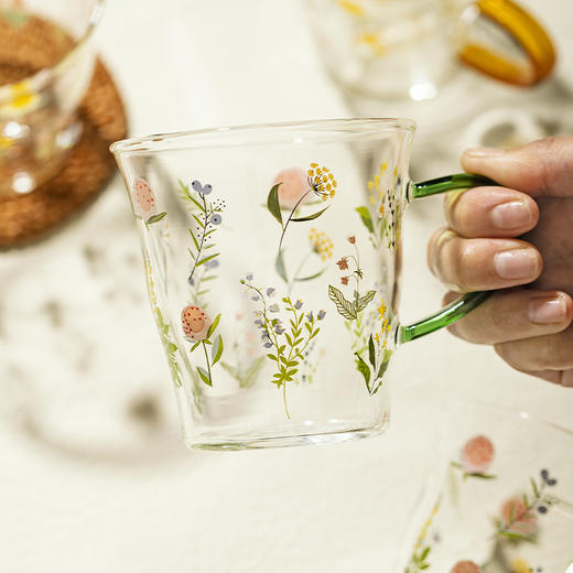 摩登主妇小枝荨玻璃杯耐高温果汁牛奶杯高颜值喝水杯2024新款杯子 商品图2