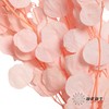 永生花材 | 苹果叶粉色 商品缩略图3