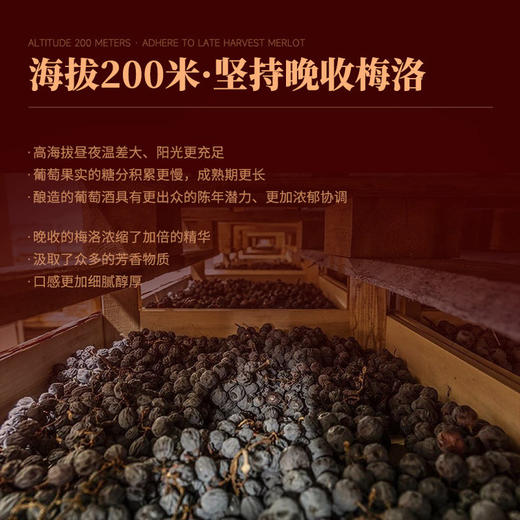 【全球限量30000瓶 】法国薇庭庄园干红葡萄酒 利穆·村庄级AOP 15.5%vol 商品图1