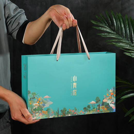 【茶叶小青柑普洱茶】熟茶柑普茶 新会生晒陈皮茶叶礼盒装 父亲节送礼  商品图3