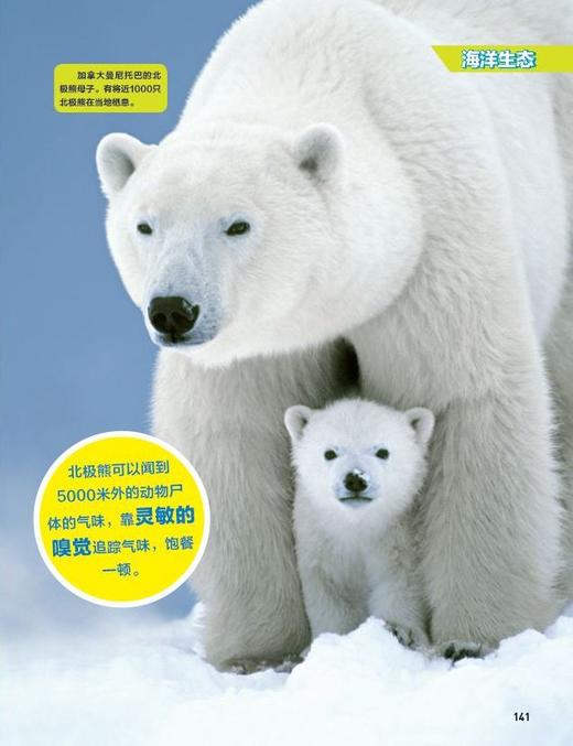 “美国国家地理科普大百科”系列（共4册）：《神秘的太空》《不可思议的动物与仿生》《奇妙的海洋》《酷酷的爬行动物》 商品图11