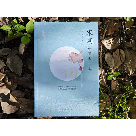 宋词一百零一夜（予路人文阅读系列丛书）(彭元鹤) 商品图4