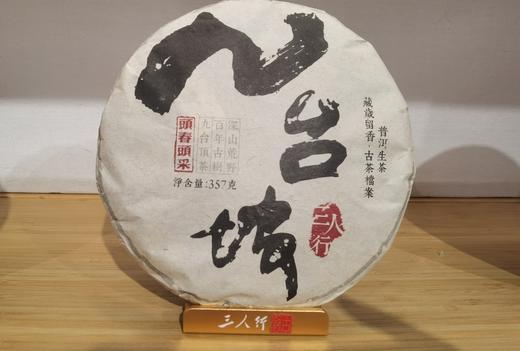 22春·九台坡·古树档案·生普·357克饼 商品图0