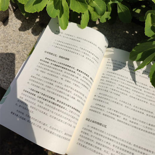 这世界唯一的你：自闭症人士独特行为背后的真相      （美）巴瑞·普瑞桑(（美）巴瑞·普瑞桑（美）汤姆·菲尔兹-迈耶) 商品图3