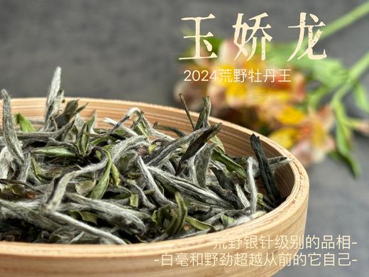【2024春茶来了】2024荒野牡丹王如浆似汤，比往年更野、白毫更多、香气更馥郁，天生的有机茶！ 商品图1