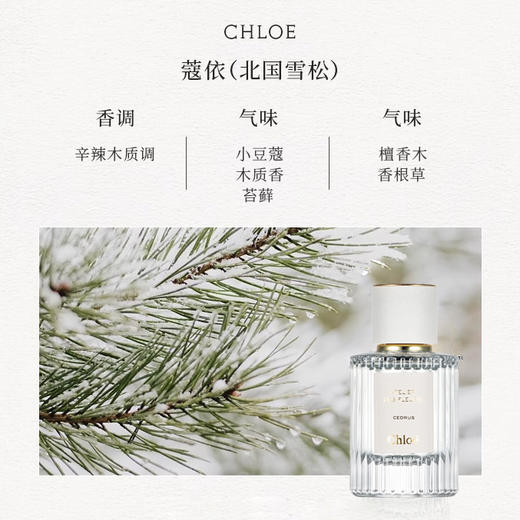 仙气飘飘！Chole蔻依仙境花园系列北国雪松/木兰诗语/烟雨茉莉女士香水50ml/150ml清新女士香氛 送香水礼品袋【CDF】 商品图4