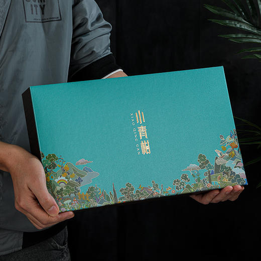 【茶叶小青柑普洱茶】熟茶柑普茶 新会生晒陈皮茶叶礼盒装 父亲节送礼  商品图2