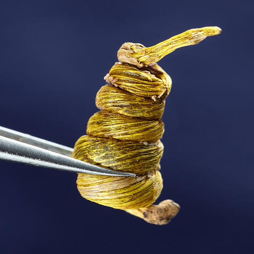 极盏-霍山”龙头凤尾“米斛 30g    出霍山，无米斛  百斛之首，百草之尊 商品图2