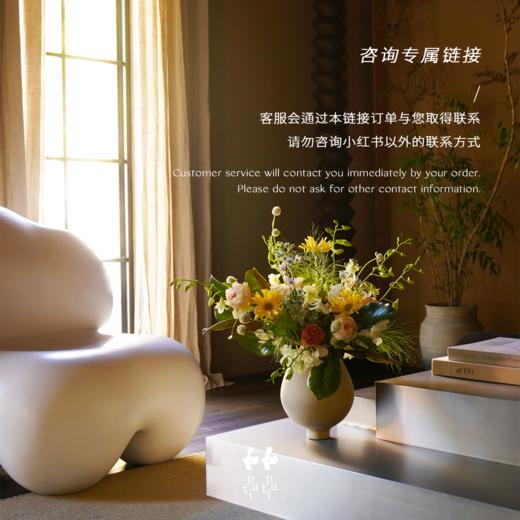 咨询专属链接 商品图0