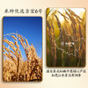 农夫山泉东北香米10斤装家庭装大米晶莹剔透米香浓郁米饭煮粥 商品缩略图3
