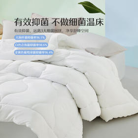 水星家纺被子春秋被秋冬被子被芯抗菌纤维被褥约3.1斤150*210cm白