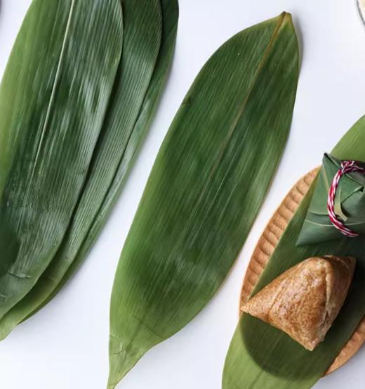 季季香 精选箬叶 粽子叶 约50片 叶宽6.5~9cm 鲜粽叶无需浸泡 端午粽子叶 商品图1