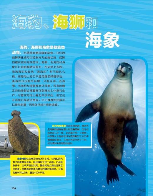 “美国国家地理科普大百科”系列（共4册）：《神秘的太空》《不可思议的动物与仿生》《奇妙的海洋》《酷酷的爬行动物》 商品图5