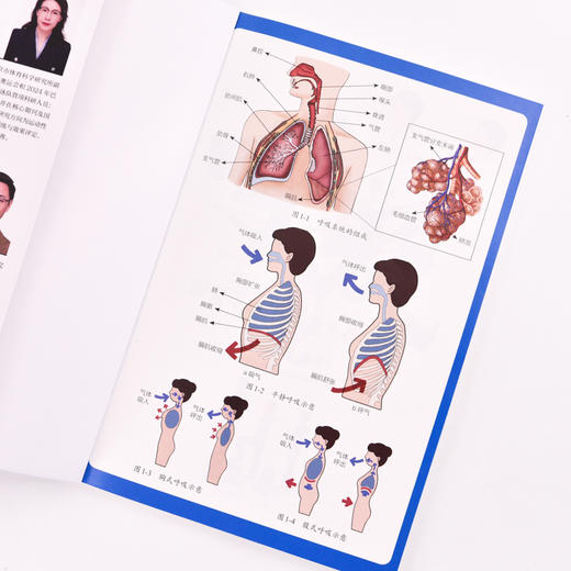 呼吸 需要重新学习的生存本能 养生书籍 商品图4