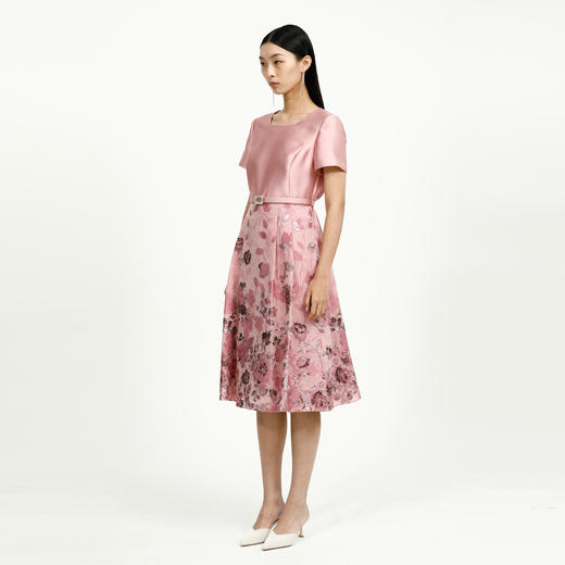 戴布拉芬连衣裙L27B533 商品图1