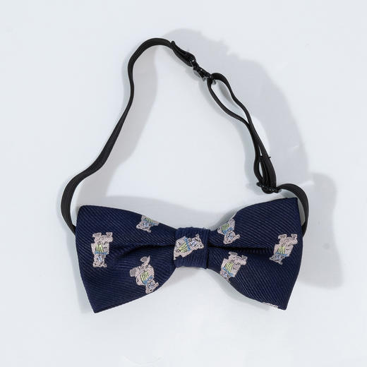 贝贝怡童装儿童合唱演出服六一大合唱团小童服装表演主持人礼服XT8830-XT8252 商品图2